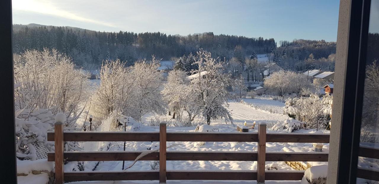 Le Jura En Toutes Saisons Piscine, Spa, Location Vtt, Balades 2Cv, Climatisation Bonlieu Eksteriør billede